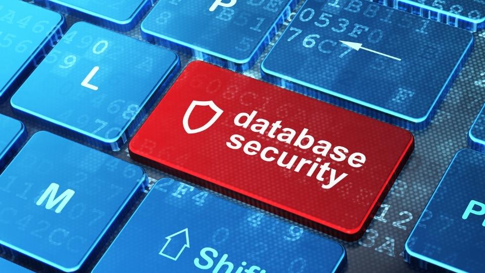 Database Security & Computer Programming   CYB403